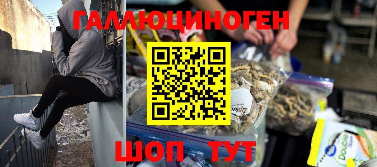 Псилоцибиновые грибы Psilocybine cubensis Обнинск
