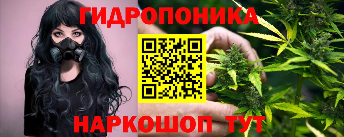 Псилоцибиновые грибы Обнинск